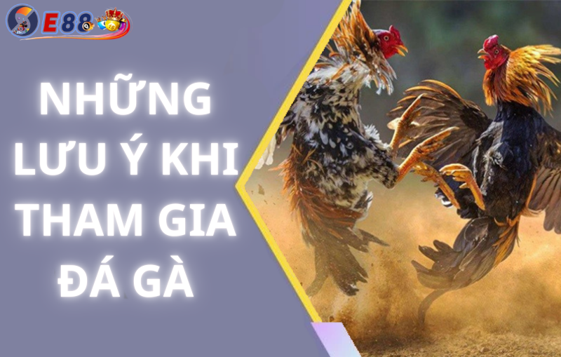 Những Lưu Ý Khi Tham Gia Đá Gà 